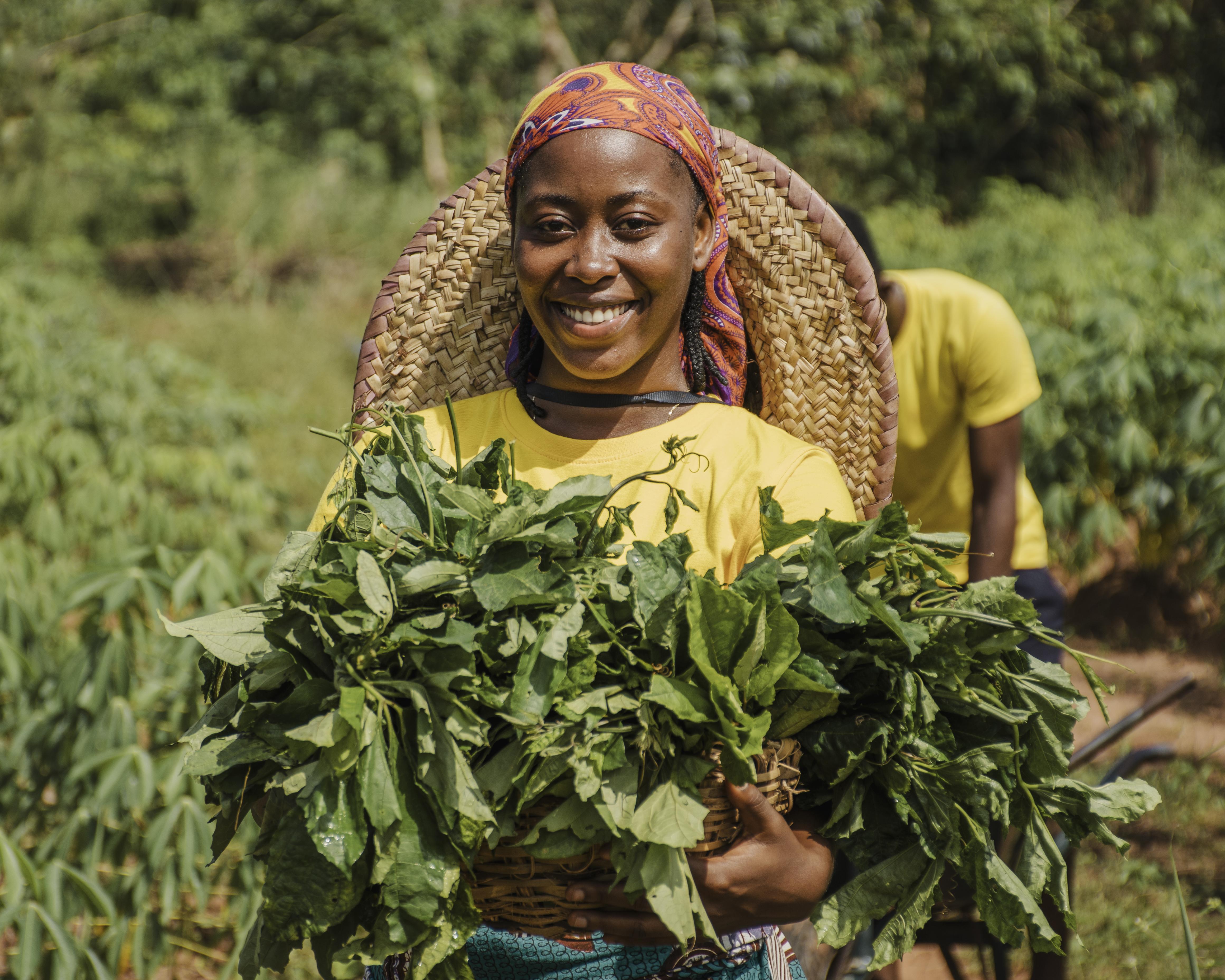 Farming Image